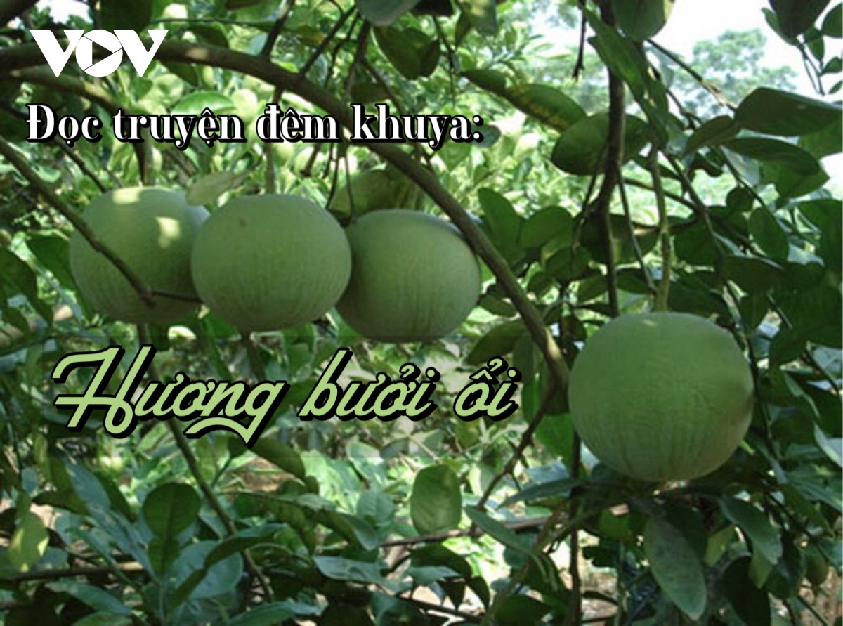 Truyện ngắn "Hương bưởi ổi" - Hương vị tình yêu